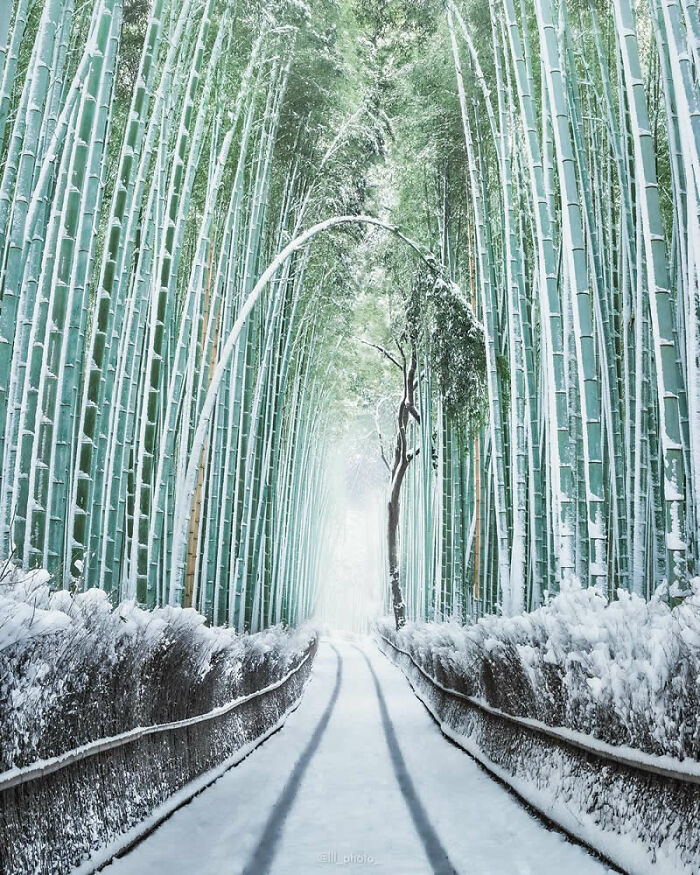 This Instagram Account Proves Photography Is More Than Just A Picture, And These 50 Pics Show Why