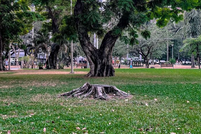 This Instagram Account Proves Photography Is More Than Just A Picture, And These 50 Pics Show Why