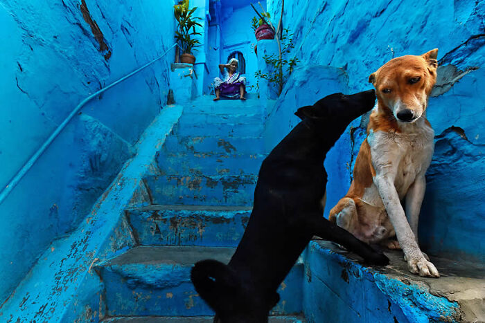 This Instagram Account Proves Photography Is More Than Just A Picture, And These 50 Pics Show Why