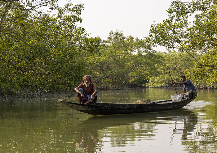 I Documented The Untold Story Of The Mouali, Who Risk Everything For Wild Honey