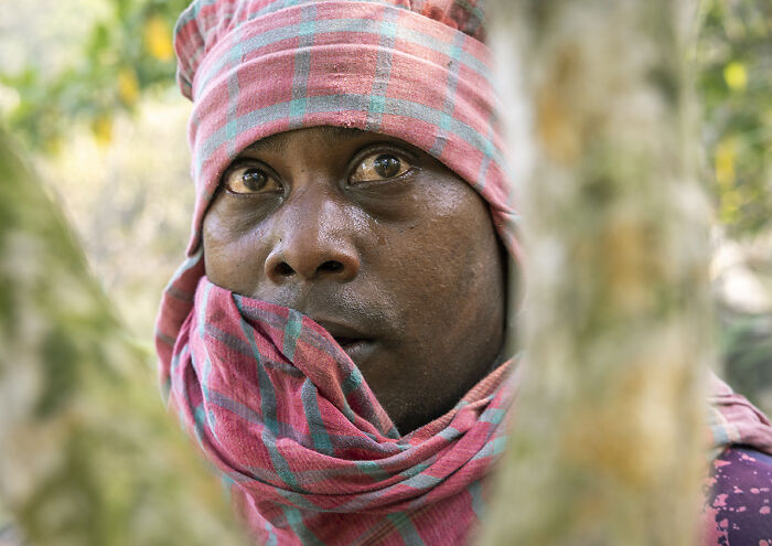 I Documented The Untold Story Of The Mouali, Who Risk Everything For Wild Honey