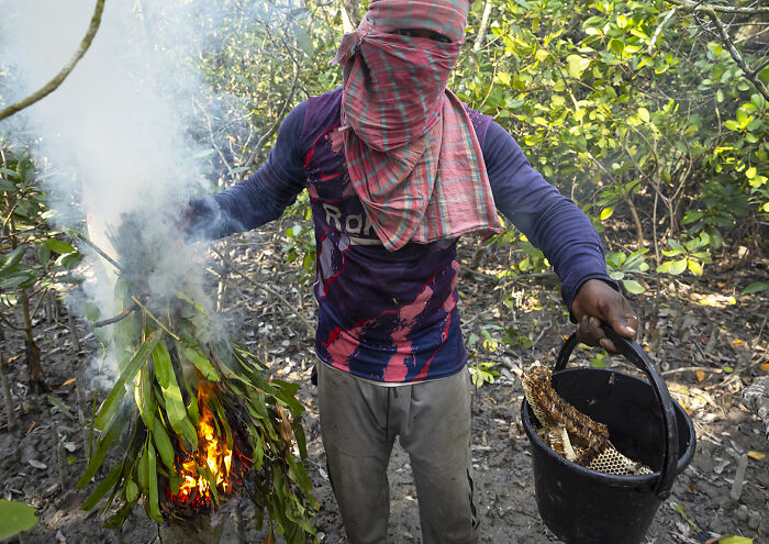 I Documented The Untold Story Of The Mouali, Who Risk Everything For Wild Honey
