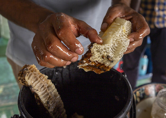 I Documented The Untold Story Of The Mouali, Who Risk Everything For Wild Honey