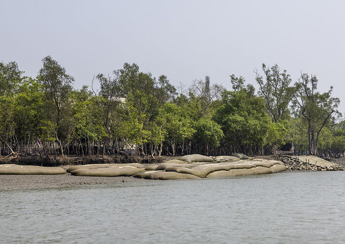 I Documented The Untold Story Of The Mouali, Who Risk Everything For Wild Honey
