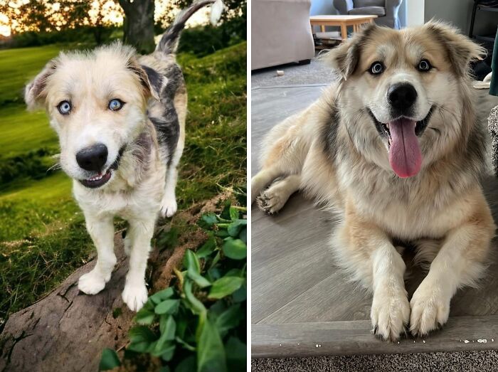 71 Of The Best Glow-Ups That Might Make You Smile