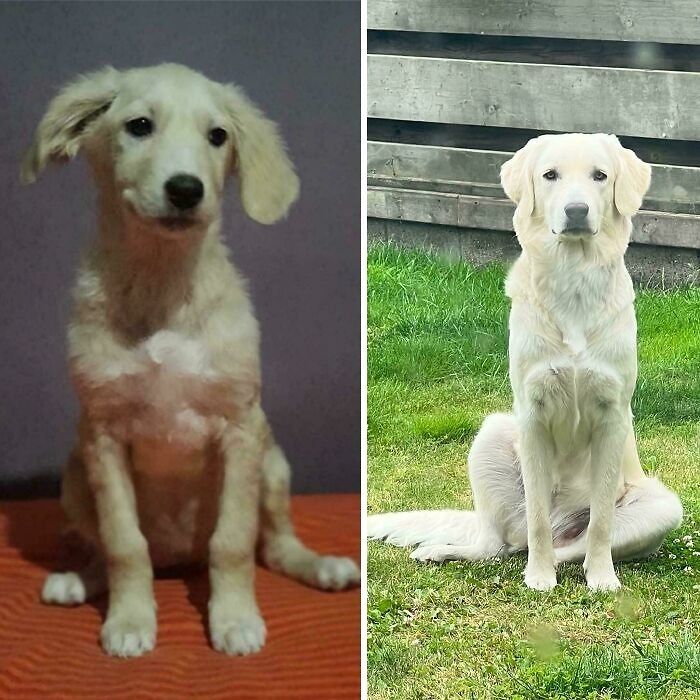 71 Of The Best Glow-Ups That Might Make You Smile