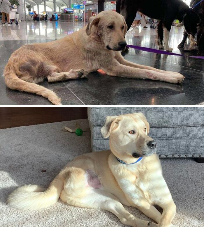 71 Of The Best Glow-Ups That Might Make You Smile