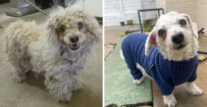 71 Of The Best Glow-Ups That Might Make You Smile
