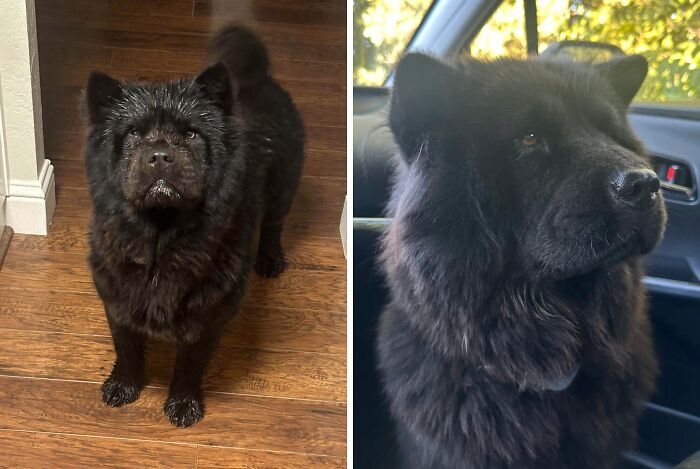71 Of The Best Glow-Ups That Might Make You Smile