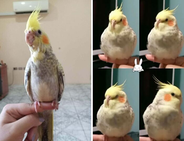 71 Of The Best Glow-Ups That Might Make You Smile