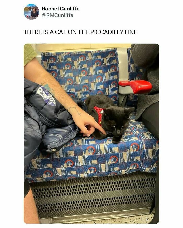 70 Brilliant Memes About London That Highlight The Wit Of British Humor