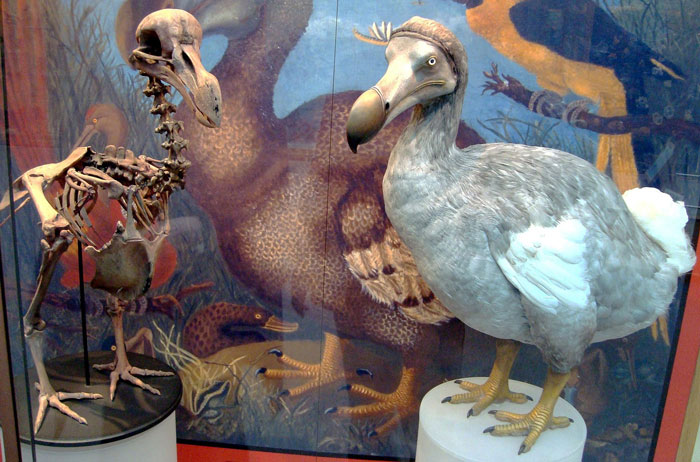 “Complete Collapse Of Common Sense”: 38 Reasons To Never Underestimate Groups Of Stupid People