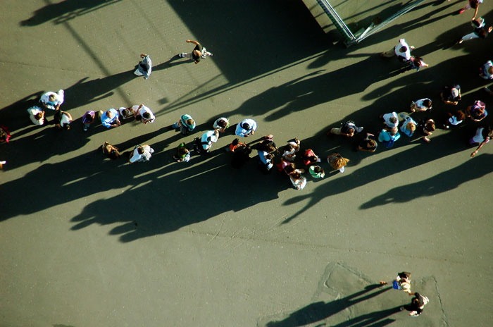 “Complete Collapse Of Common Sense”: 38 Reasons To Never Underestimate Groups Of Stupid People