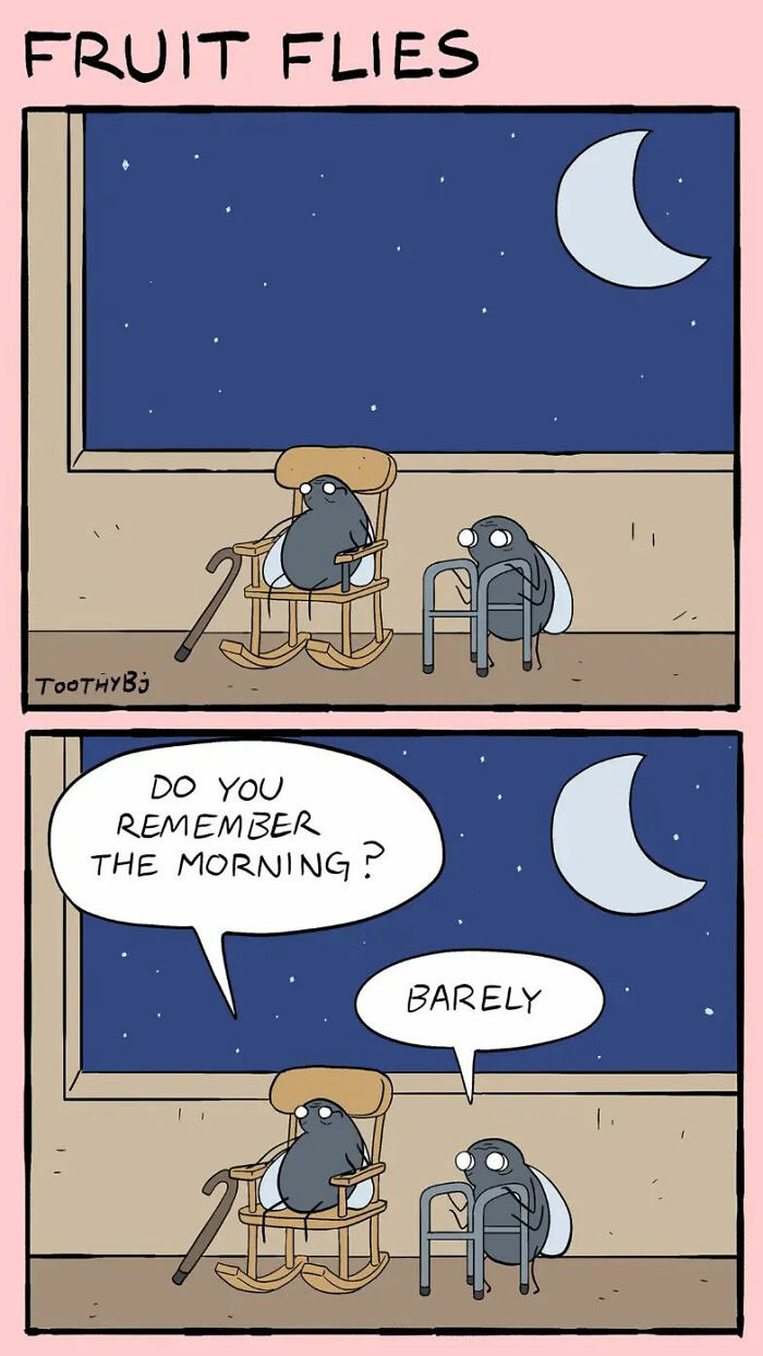 If You Enjoy Dark Humor, You Will Probably Enjoy These 50 Best Comics By ToothyBj