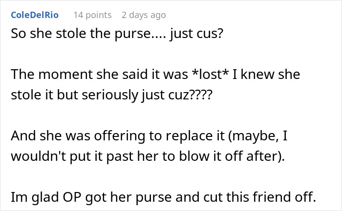 Woman Demands To Search Friend’s Suitcase And Finds Her Missing Purse Inside