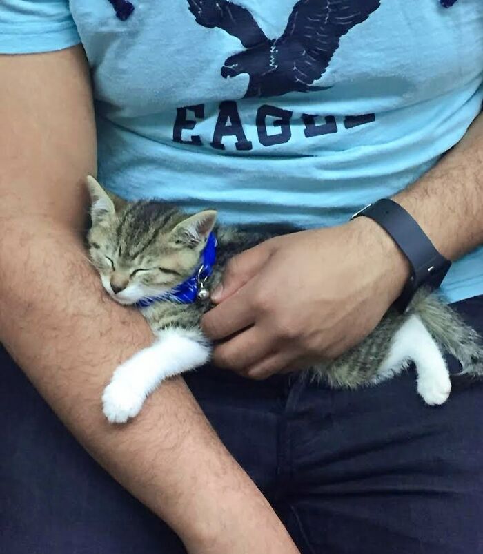 New York Subway Has The Most Unusual Passengers Carrying These 61 Things In Their Hands