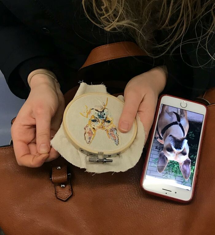 New York Subway Has The Most Unusual Passengers Carrying These 61 Things In Their Hands