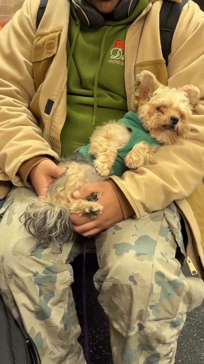 New York Subway Has The Most Unusual Passengers Carrying These 61 Things In Their Hands