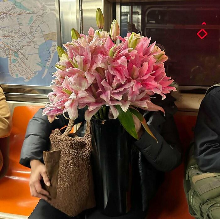New York Subway Has The Most Unusual Passengers Carrying These 61 Things In Their Hands