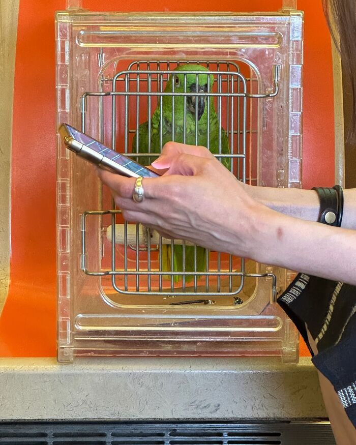 New York Subway Has The Most Unusual Passengers Carrying These 61 Things In Their Hands
