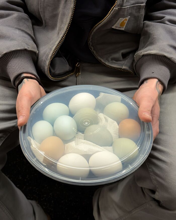 New York Subway Has The Most Unusual Passengers Carrying These 61 Things In Their Hands