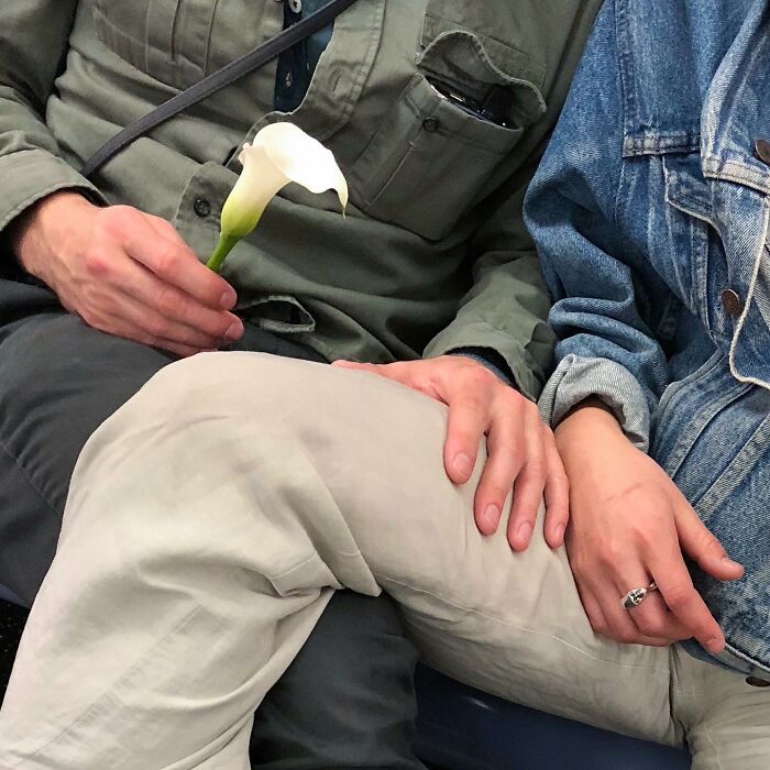 New York Subway Has The Most Unusual Passengers Carrying These 61 Things In Their Hands