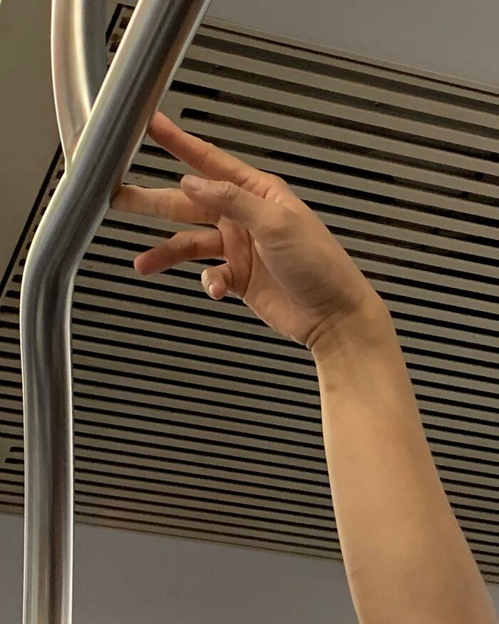 New York Subway Has The Most Unusual Passengers Carrying These 61 Things In Their Hands