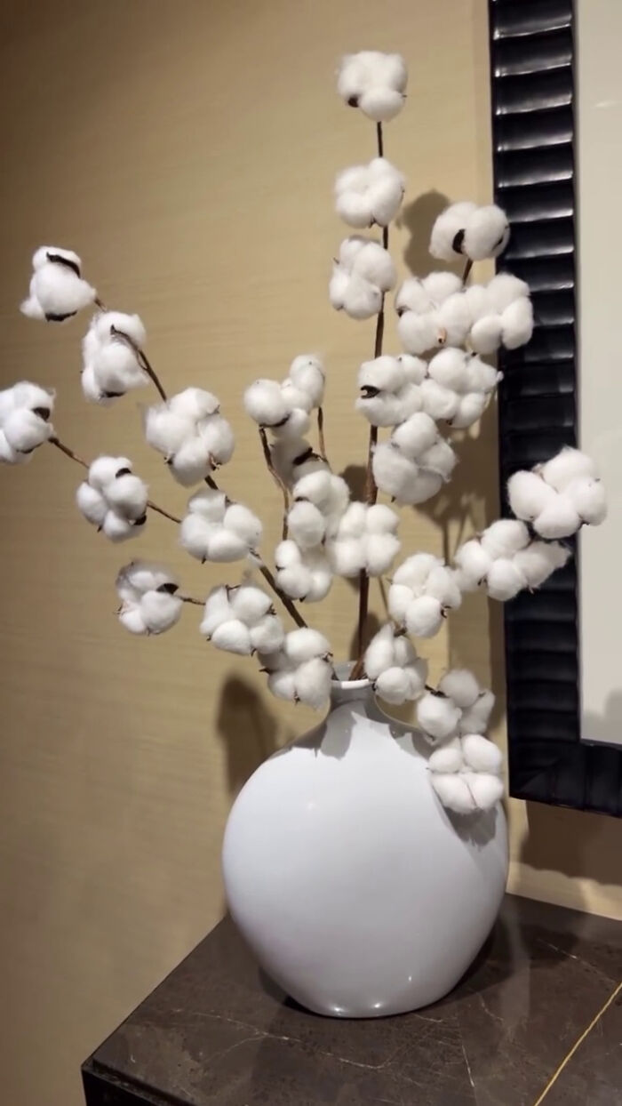 Heated Reactions After Serena Williams Calls Out NYC Hotel Over Cotton Plant Decoration
