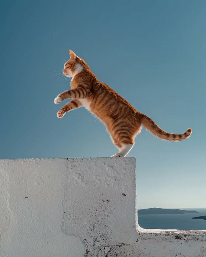 44 Calming And Beautiful Images By Greek Visual Artist Aikaterini Theocharidou