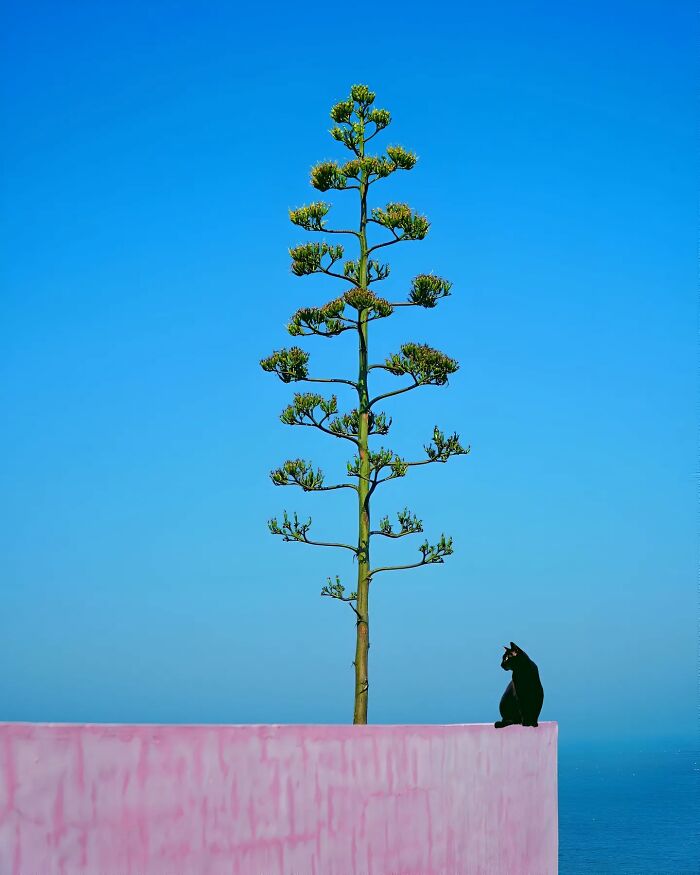 44 Calming And Beautiful Images By Greek Visual Artist Aikaterini Theocharidou