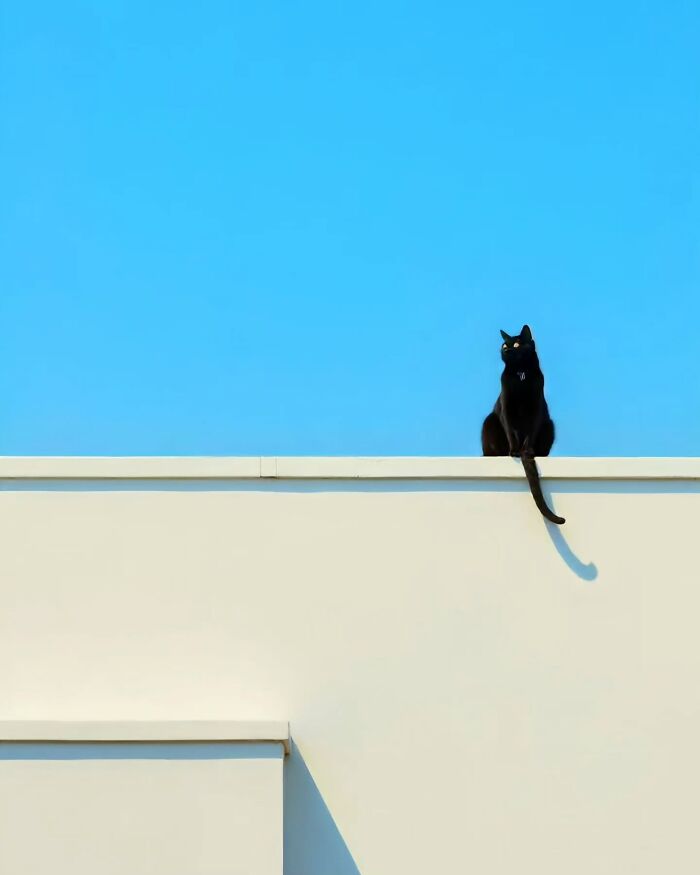 44 Calming And Beautiful Images By Greek Visual Artist Aikaterini Theocharidou