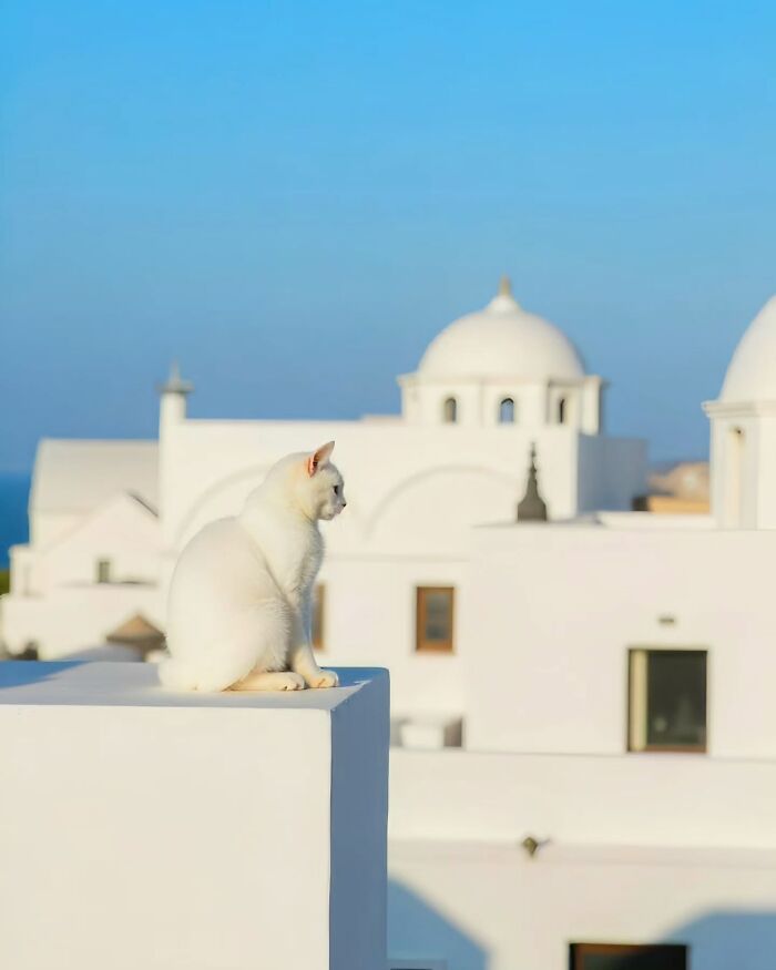 44 Calming And Beautiful Images By Greek Visual Artist Aikaterini Theocharidou