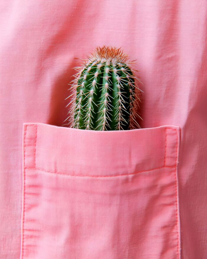 44 Calming And Beautiful Images By Greek Visual Artist Aikaterini Theocharidou