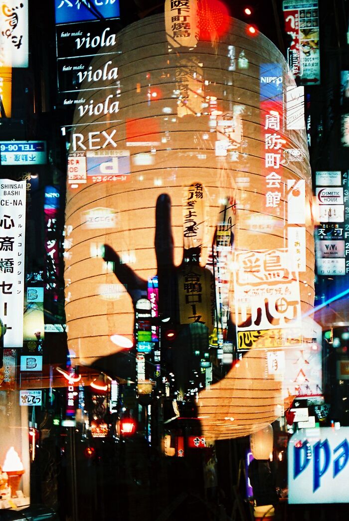 The Best Analog Photos Of 2025 Have Been Announced At The Analog Sparks Awards