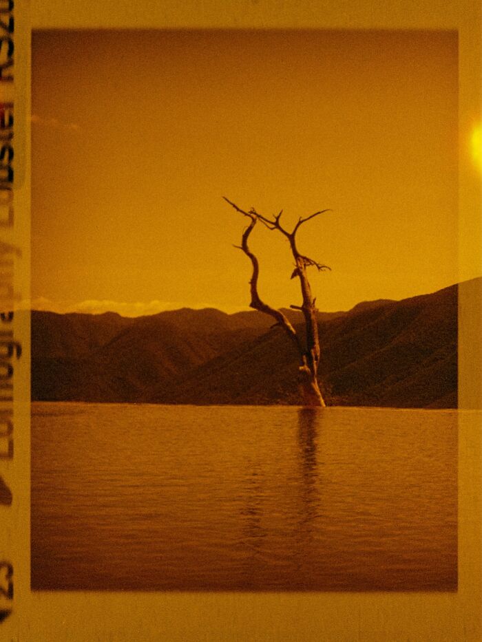 The Best Analog Photos Of 2025 Have Been Announced At The Analog Sparks Awards