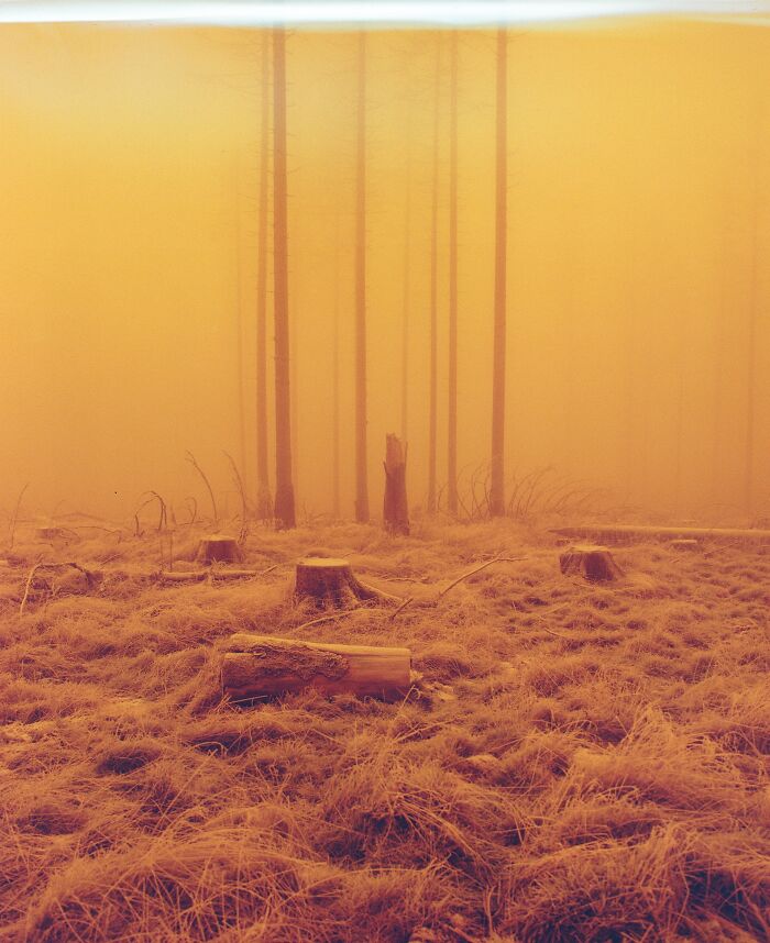 The Best Analog Photos Of 2025 Have Been Announced At The Analog Sparks Awards