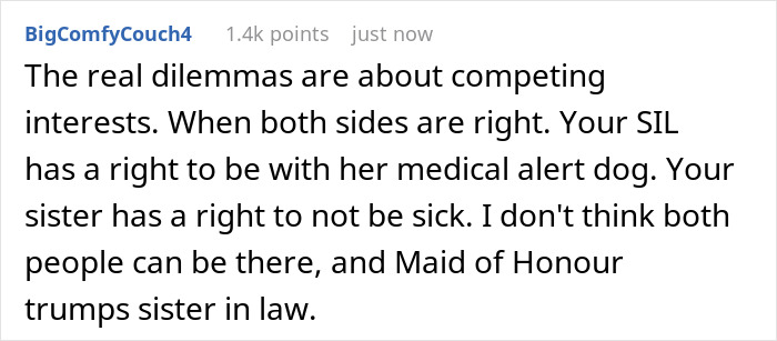 Woman Denies SIL’s Service Dog At Wedding To Protect Sister’s Health, Faces Family Uproar