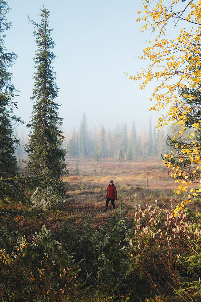 My 10 Favorite Spots To Enjoy Breathtaking Nordic Autumn