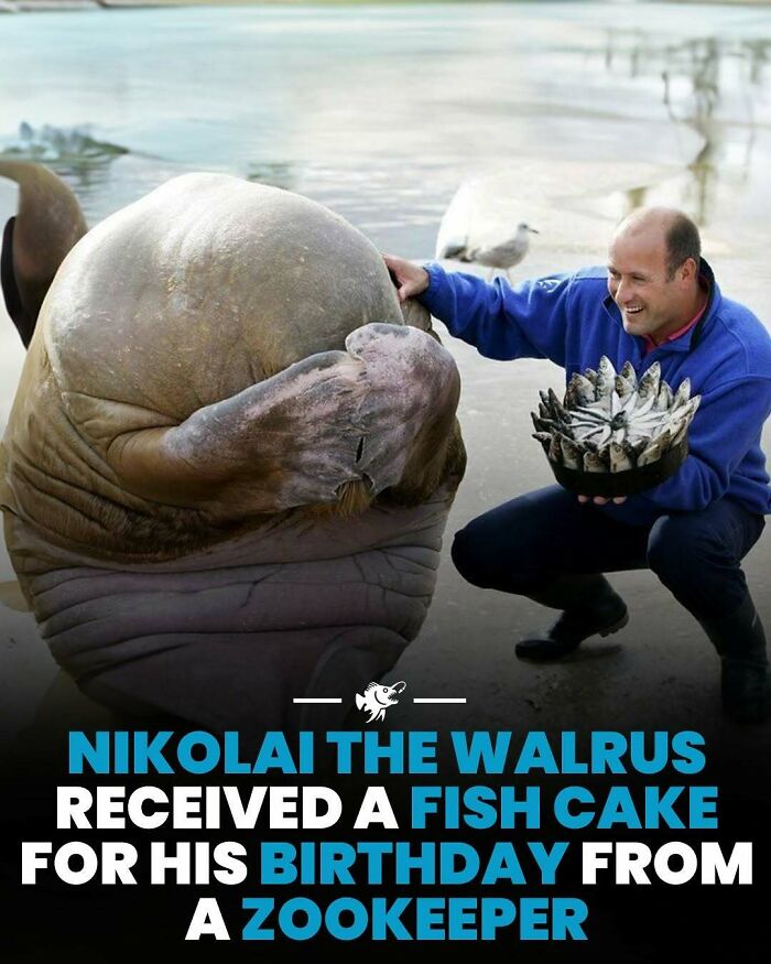77 Fascinating Posts From The Instagram Account &#8216;The Weird Unknown&#8217;