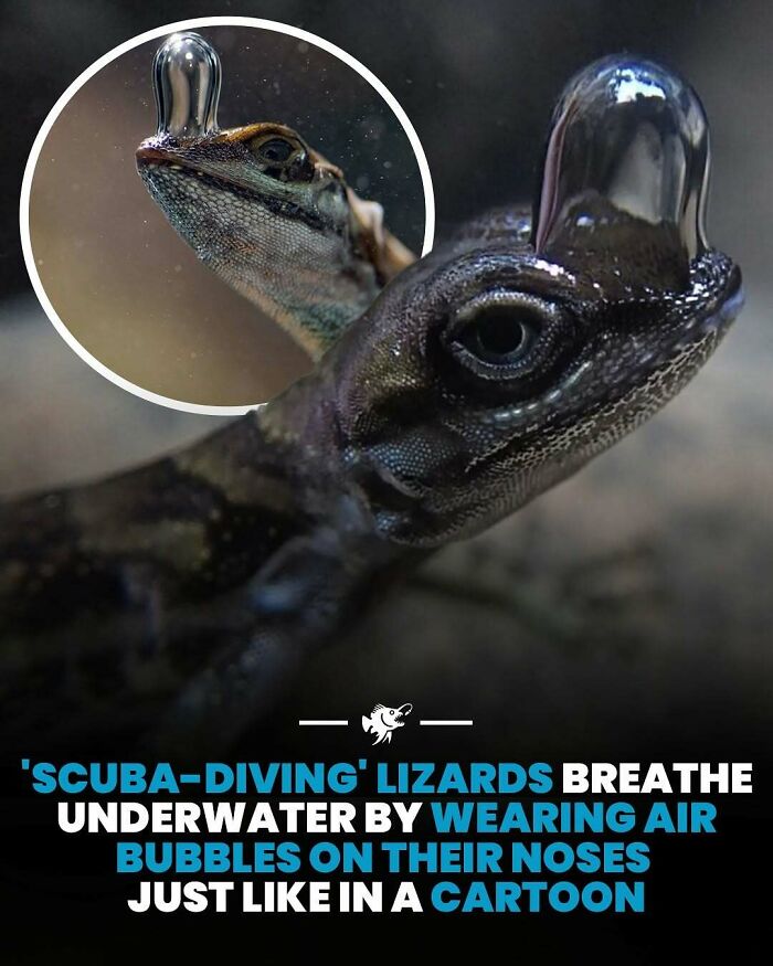 77 Fascinating Posts From The Instagram Account &#8216;The Weird Unknown&#8217;