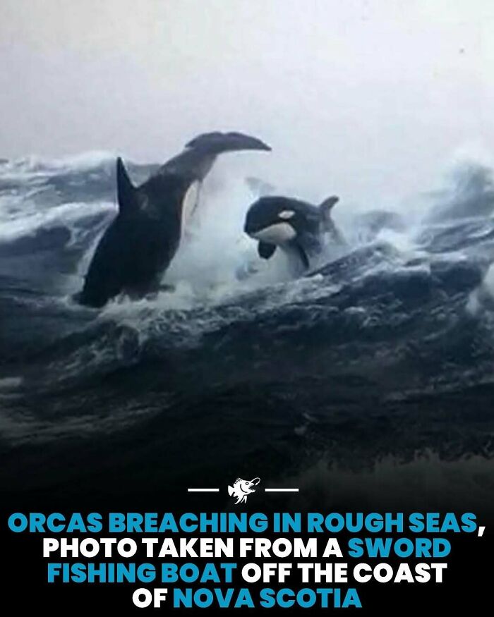 77 Fascinating Posts From The Instagram Account &#8216;The Weird Unknown&#8217;