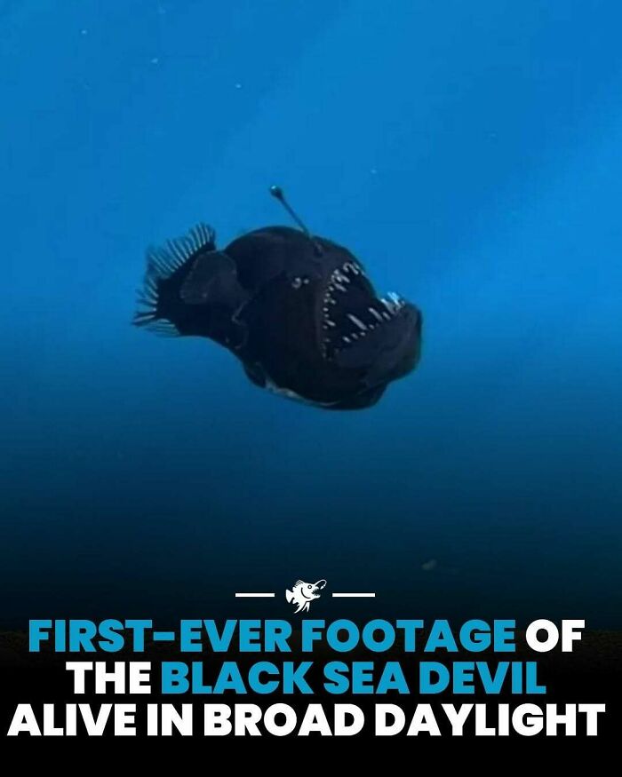 77 Fascinating Posts From The Instagram Account &#8216;The Weird Unknown&#8217;