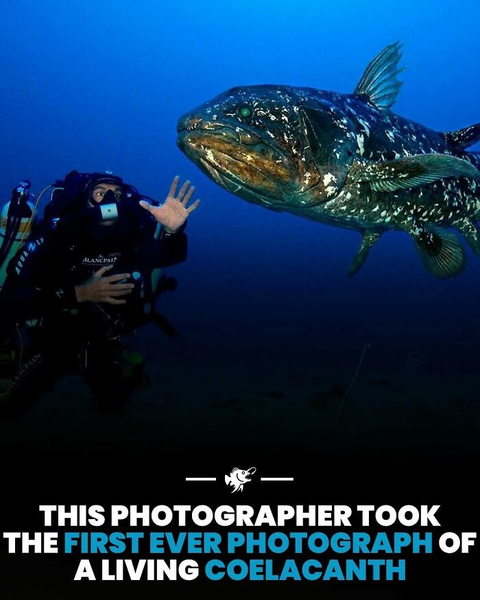 77 Fascinating Posts From The Instagram Account &#8216;The Weird Unknown&#8217;