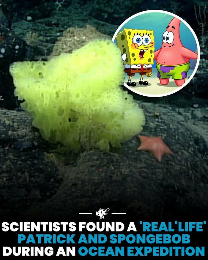 77 Fascinating Posts From The Instagram Account &#8216;The Weird Unknown&#8217;