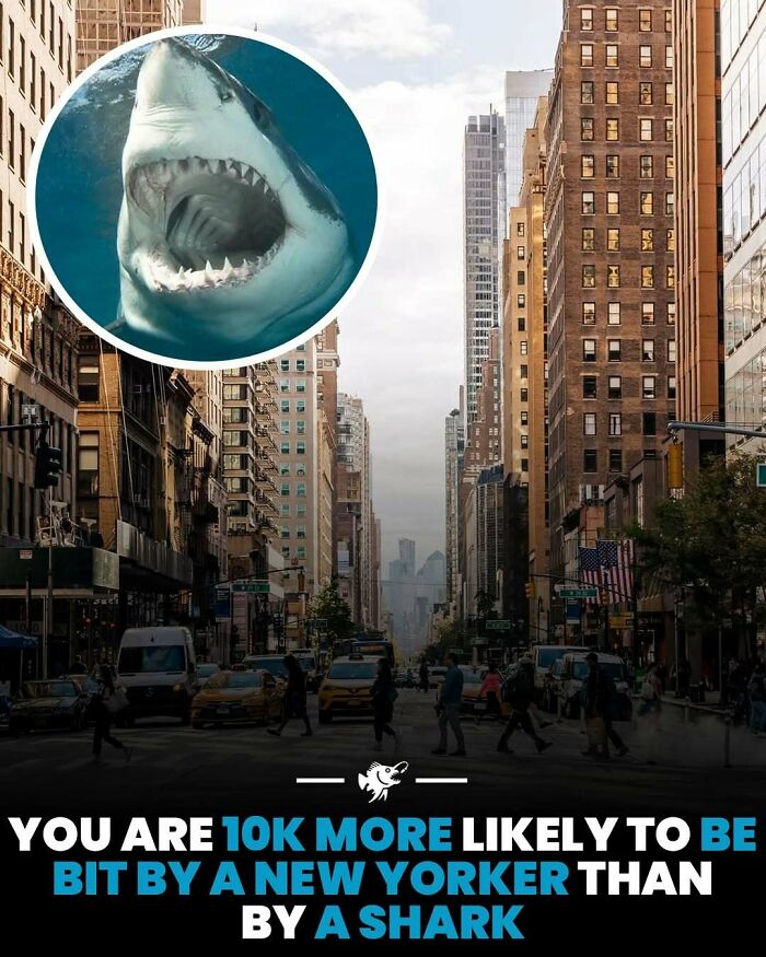 77 Fascinating Posts From The Instagram Account &#8216;The Weird Unknown&#8217;