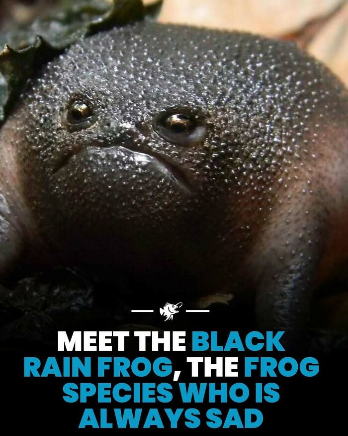 77 Fascinating Posts From The Instagram Account &#8216;The Weird Unknown&#8217;