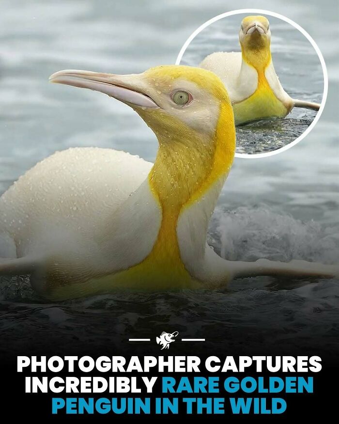 77 Fascinating Posts From The Instagram Account &#8216;The Weird Unknown&#8217;