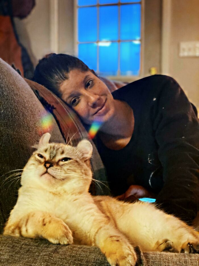 &#8220;Cats Are Aliens&#8221;: 80 Pics Of Cats That Just Might Prove They&#8217;re From Another Planet