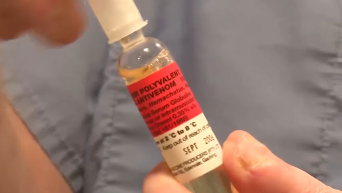 Paramedics Face Disciplinary Action For Giving Life-Saving Antivenom To Snakebite Victim