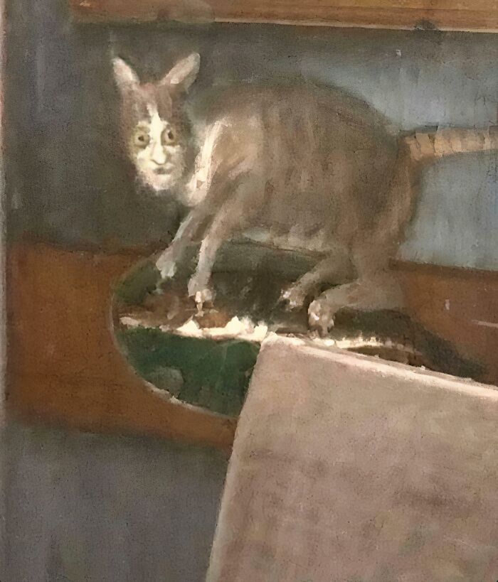 “Medieval Cats”: 57 Photos Proving That Humans Have Always Been Obsessed With Cats